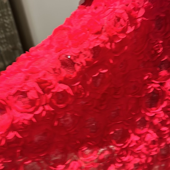 BEBE, size 0 Short red dress. - Picture 13 of 14